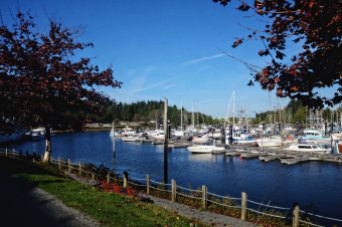 a port in Ucluelet